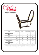 Load image into Gallery viewer, WALSH  BRITISH HALTER
