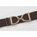 Load image into Gallery viewer, ELLANY 1.5&quot; GOLD STIRRUP BELT
