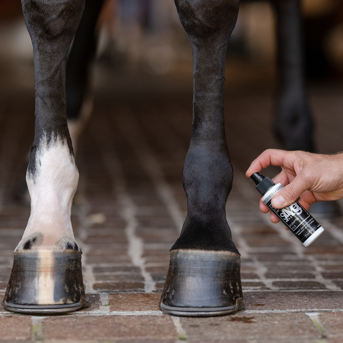 EQUIFIT AGSILVER DAILY STENGTH CLEANSPRAY™