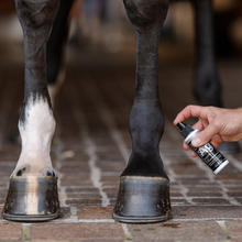 Load image into Gallery viewer, EQUIFIT AGSILVER DAILY STENGTH CLEANSPRAY™
