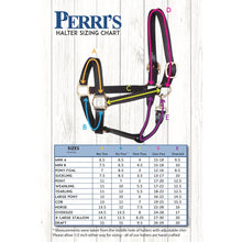 Load image into Gallery viewer, HORSE BLACK NYLON GROOMING HALTER
