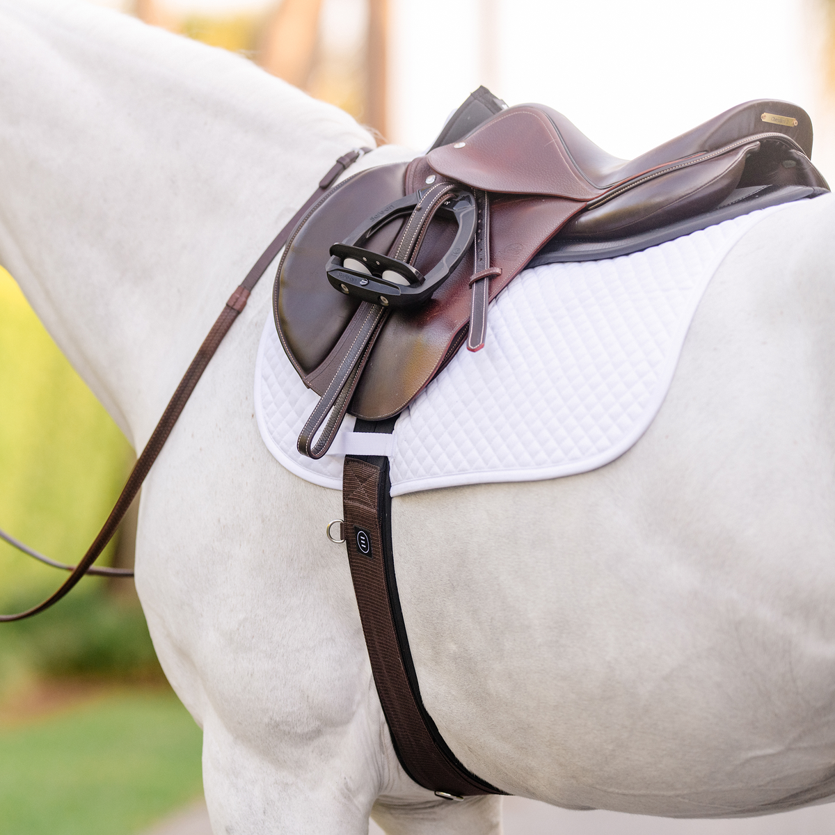 EQUIFIT ESSENTIAL®SCHOOLING GIRTH