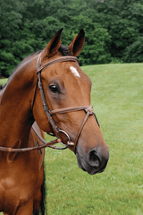 ADT IMPERIAL FIGURE 8 BRIDLE WITH RAISED FANCY RUBBER REINS