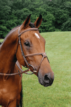 Load image into Gallery viewer, ADT IMPERIAL FIGURE 8 BRIDLE WITH RAISED FANCY RUBBER REINS
