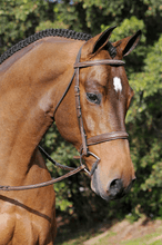 Load image into Gallery viewer, ADT TRIBUTE BRIDLE WITH RAISED FANCY LACED REINS
