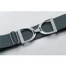 Load image into Gallery viewer, ELLANY 1.5&quot; SILVER STIRRUP BELT
